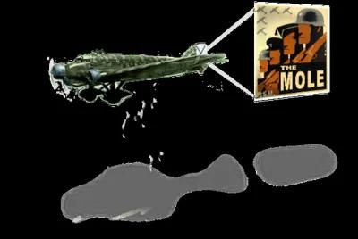 The Mole poster1
