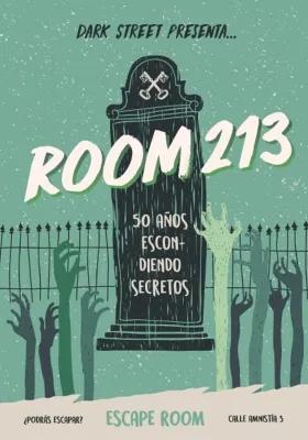 Room 213 poster1