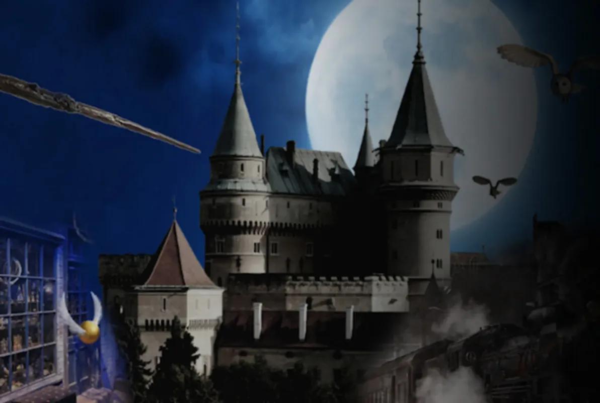 Hogwarts Ministry