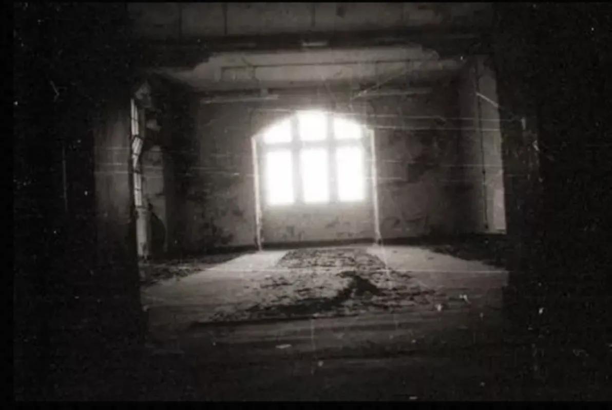 Warehouse 232